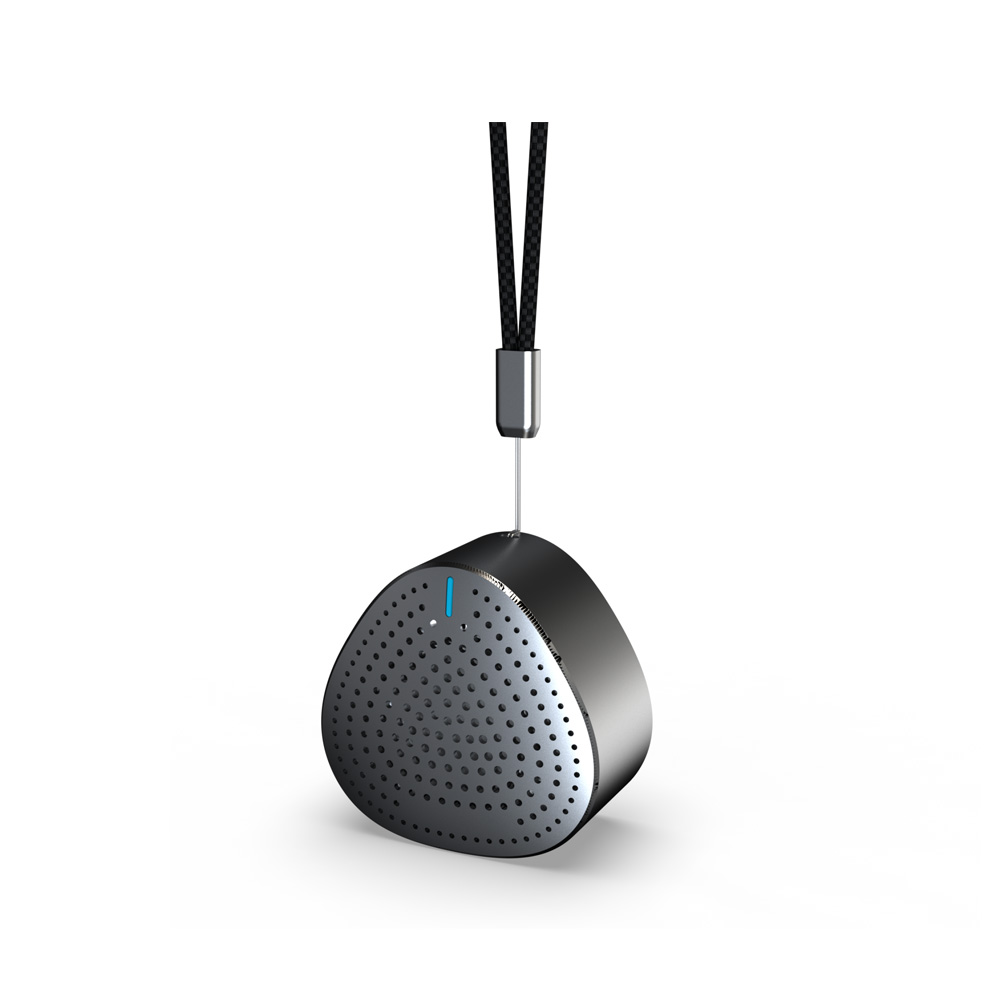 Portable Audio System