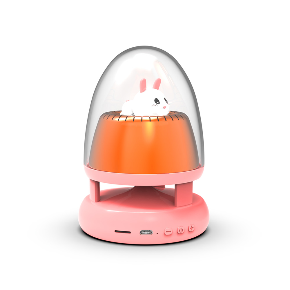Portable Audio System