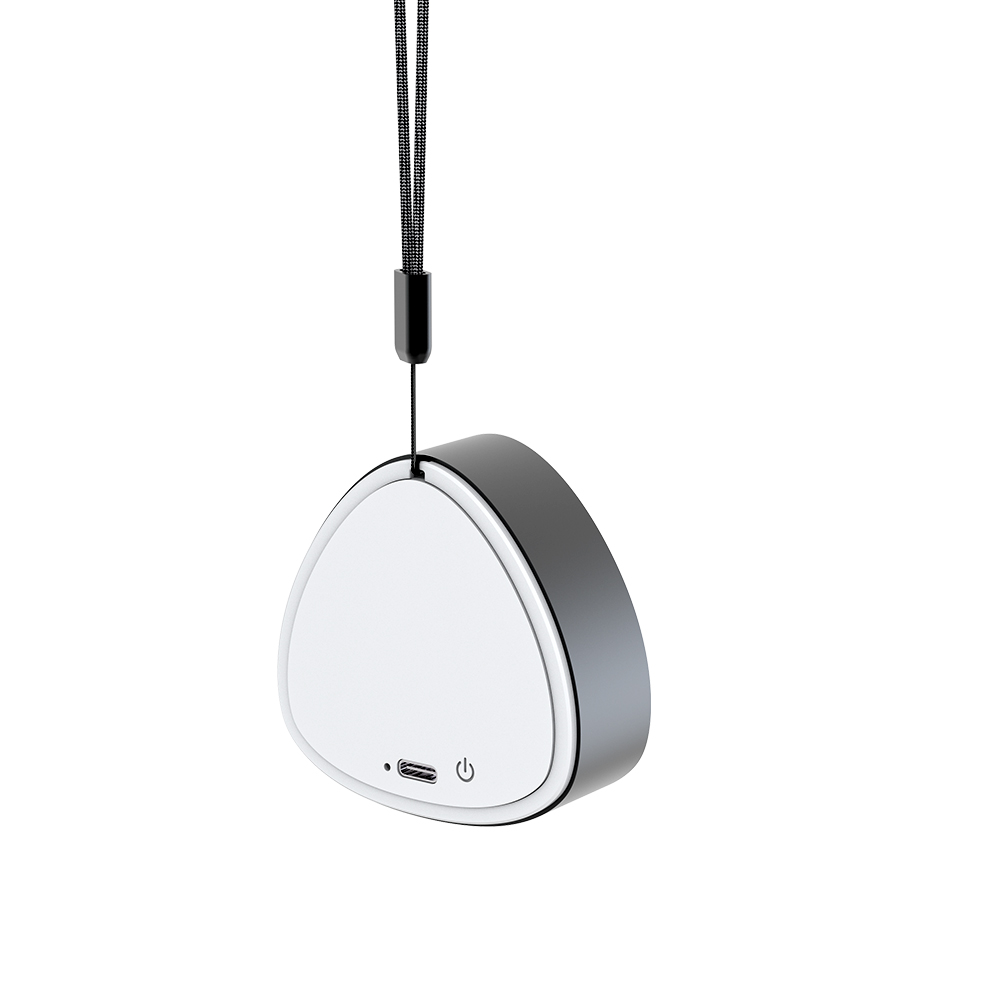 Portable Audio System